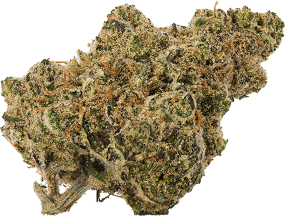 Minty Blizzard image 1